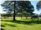 51 Ulinga Road, Somersby NSW 2250