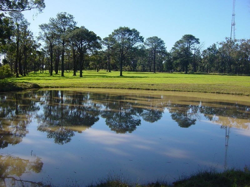 51 Ulinga Road, Somersby NSW 2250