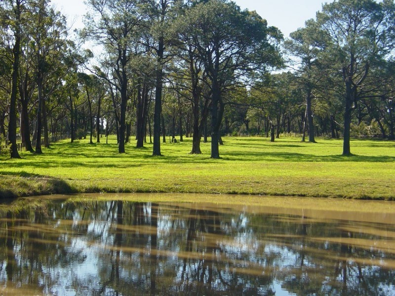 51 Ulinga Road, Somersby NSW 2250