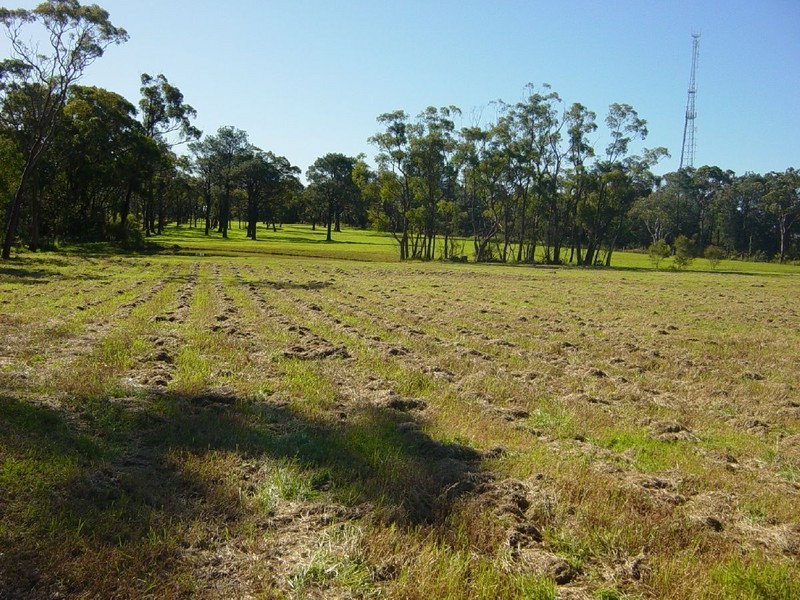 51 Ulinga Road, Somersby NSW 2250