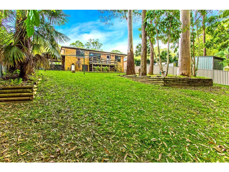 62 Rain Forest Road, Wyoming NSW 2250