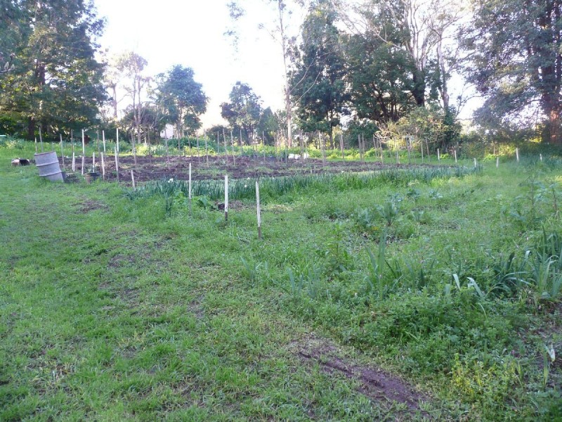 434 The Entrance Road, Erina Heights NSW 2260