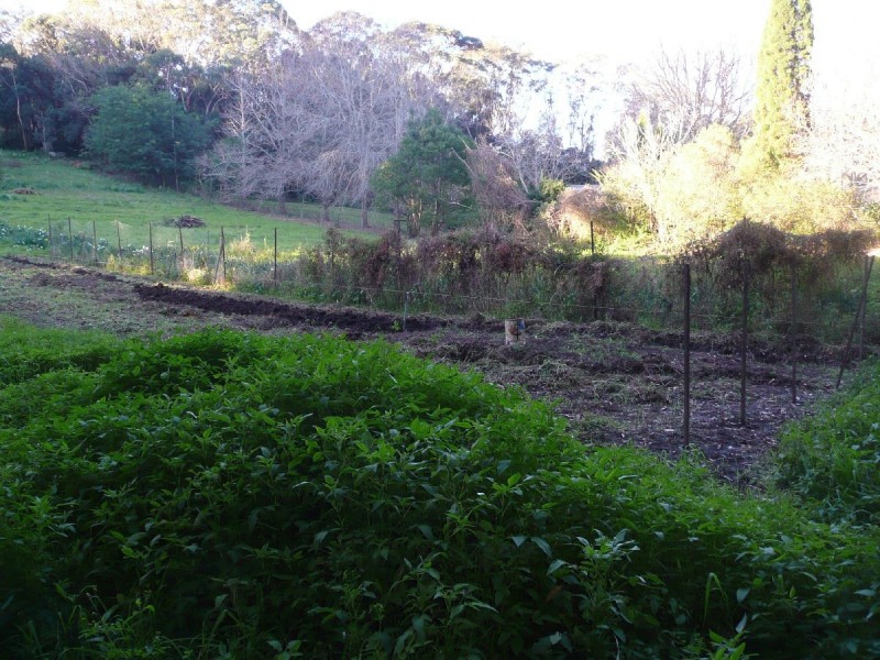 434 The Entrance Road, Erina Heights NSW 2260