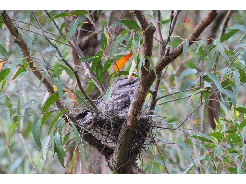 101 The Broadwaters, Tascott NSW 2250