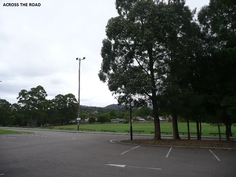 26 Day Street, Wyoming NSW 2250