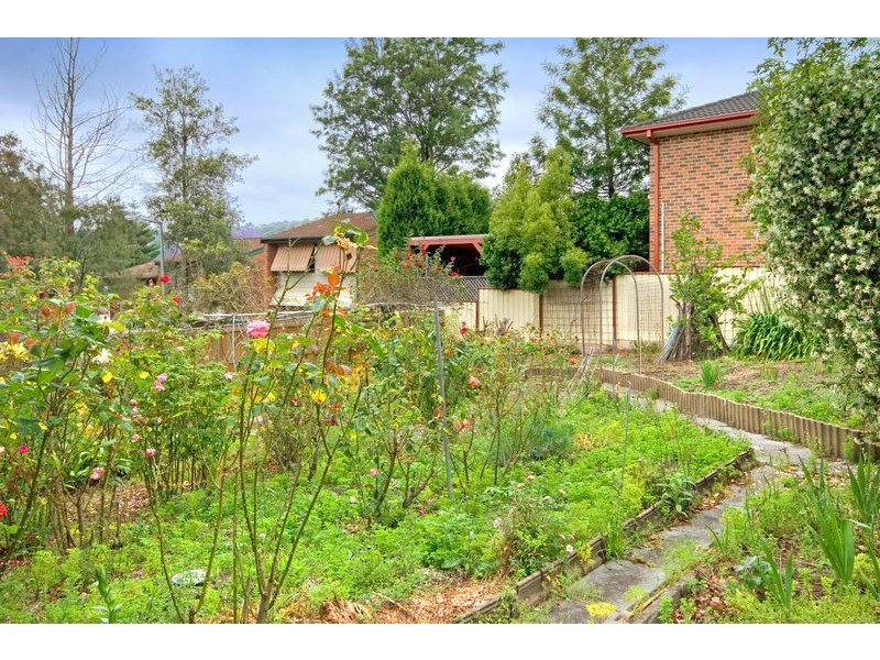 219 Gertrude Street, North Gosford NSW 2250