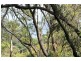 12/80 John Whiteway Drive, Gosford NSW 2250