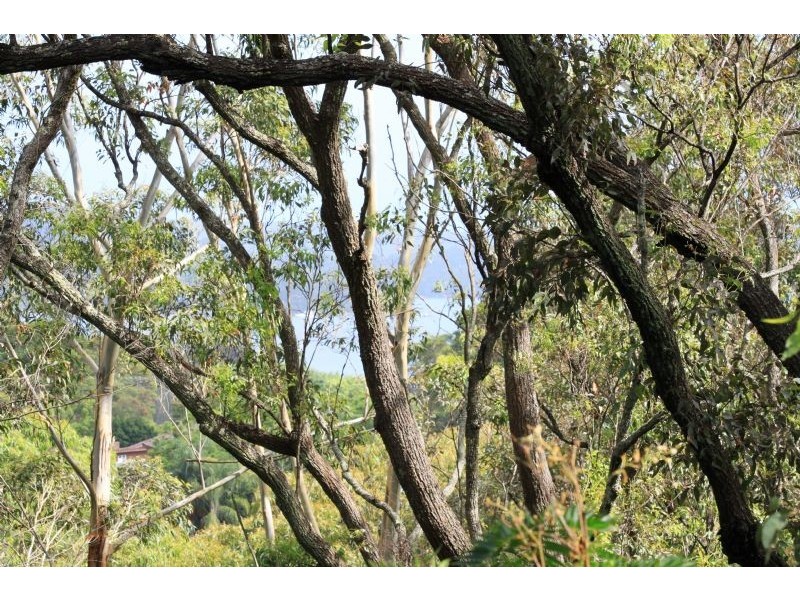 12/80 John Whiteway Drive, Gosford NSW 2250
