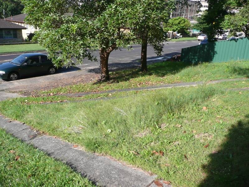 17 Sinclair Street, Gosford NSW 2250