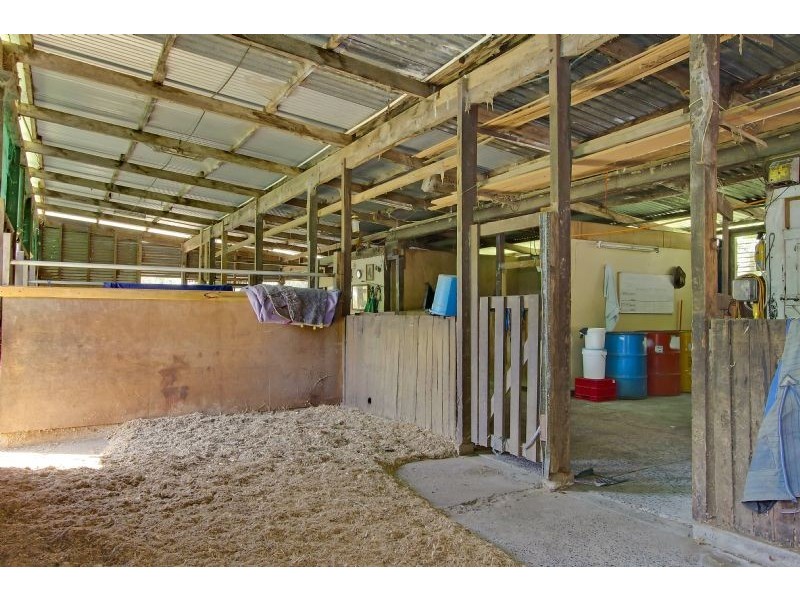 3/59 Doyle Street, Macmasters Beach NSW 2251