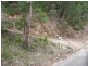 59 Glenworth Valley Road, Wendoree Park NSW 2250