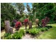 17 Fern Road, Ourimbah NSW 2258