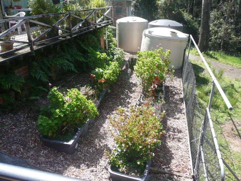 West Gosford NSW 2250