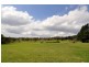 2524 Wisemans Ferry Road, Mangrove Mountain NSW 2250
