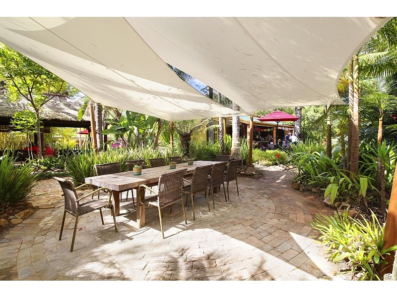 221 Wattle Tree Road, Holgate NSW 2250