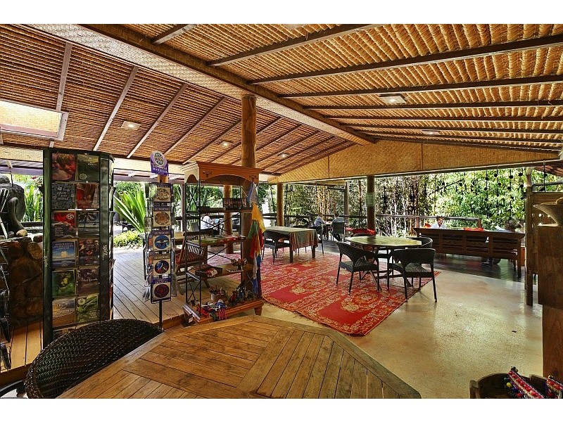 221 Wattle Tree Road, Holgate NSW 2250