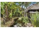 221 Wattle Tree Road, Holgate NSW 2250