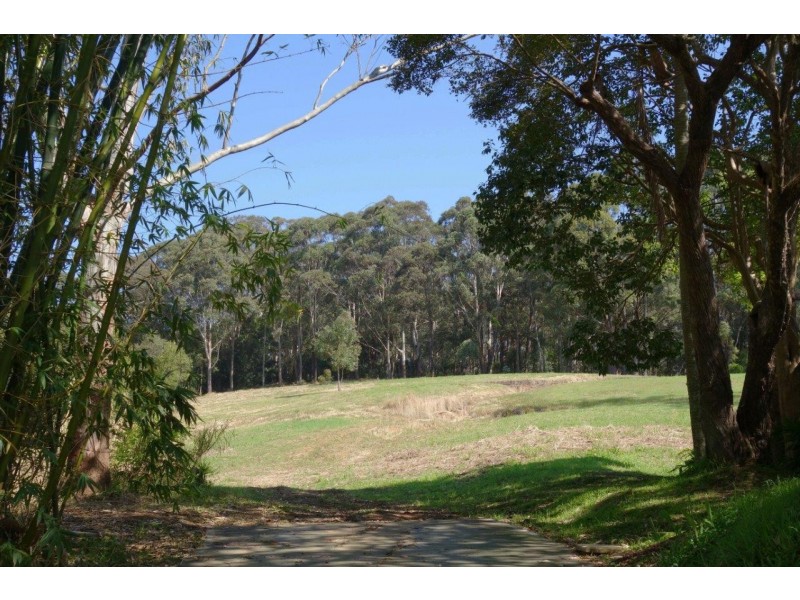 10 Hillside Road, Avoca Beach NSW 2251