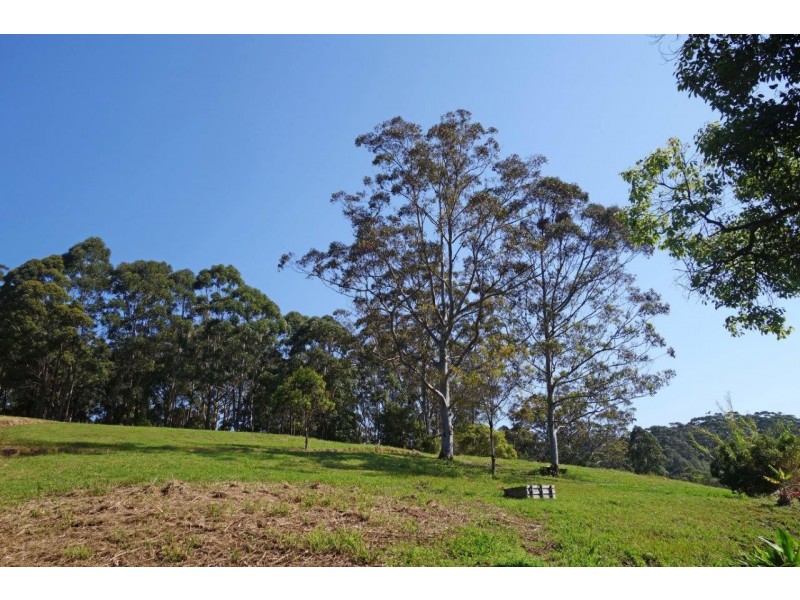 10 Hillside Road, Avoca Beach NSW 2251