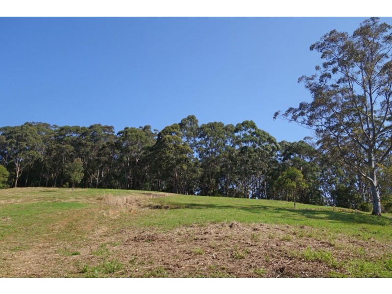 10 Hillside Road, Avoca Beach NSW 2251