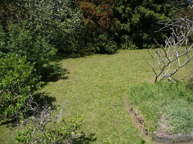 221 Gertrude Street, North Gosford NSW 2250