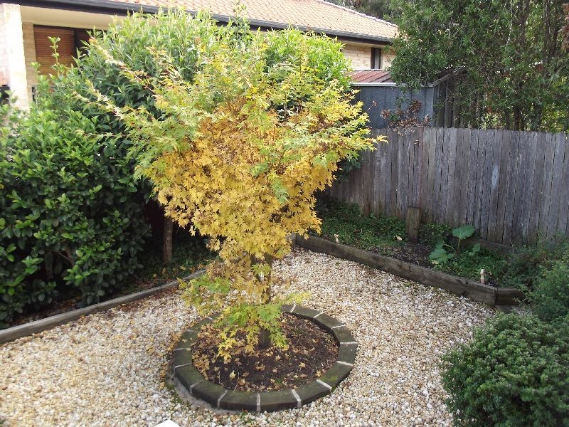 56a Wells Street, East Gosford NSW 2250