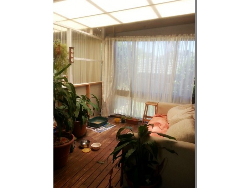 73 Beaumont  Avenue, Wyoming NSW 2250