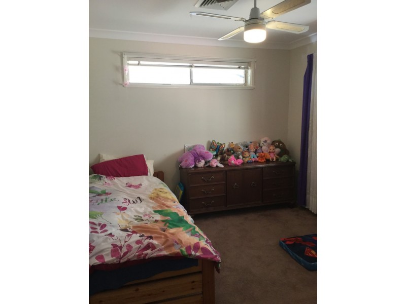 50 Malison Street, Wyoming NSW 2250