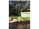 50 Malison Street, Wyoming NSW 2250