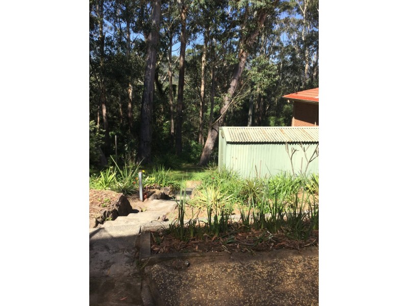 50 Malison Street, Wyoming NSW 2250