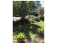 50 Malison Street, Wyoming NSW 2250