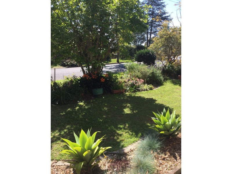50 Malison Street, Wyoming NSW 2250