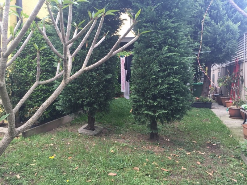 31/2 Adcock Avenue, West Gosford NSW 2250