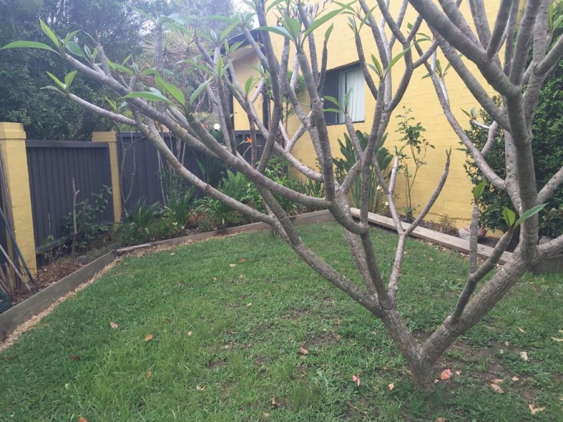 31/2 Adcock Avenue, West Gosford NSW 2250