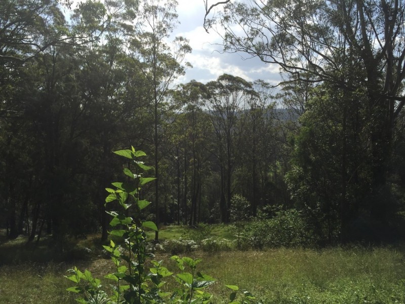 48 Glen Road, Ourimbah NSW 2258