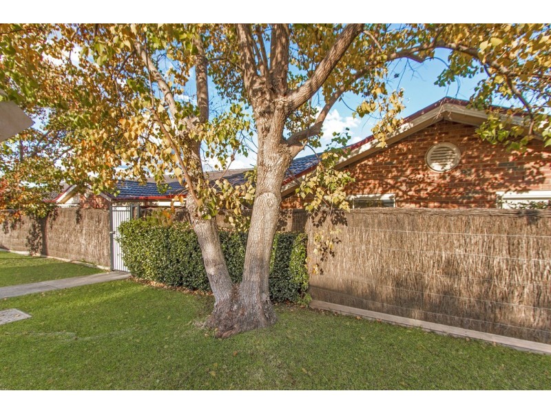 3/41-43 Brougham Street, East Gosford NSW 2250