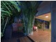 19 TENNANT STREET, Pacific Pines QLD 4211