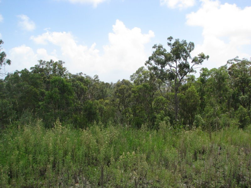 19 Gilgandra Close, Reedy Creek QLD 4227