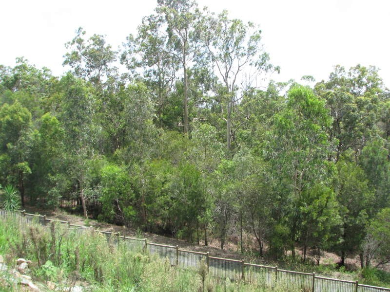 19 Gilgandra Close, Reedy Creek QLD 4227