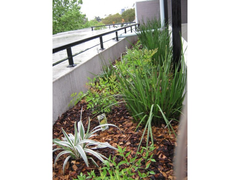 14/382-386 Miller Street, Cammeray NSW 2062