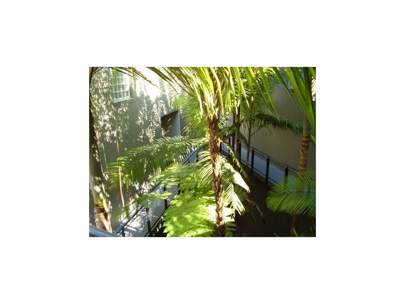 21/84 McLachlan Avenue, Rushcutters Bay NSW 2011