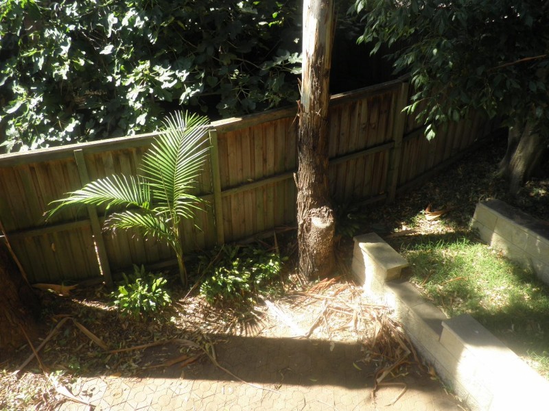 11/4 Palmer Street, Artarmon NSW 2064