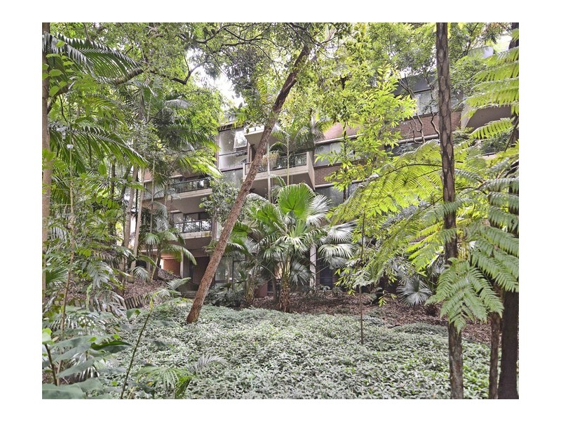1/4 Peckham Avenue, Chatswood NSW 2067