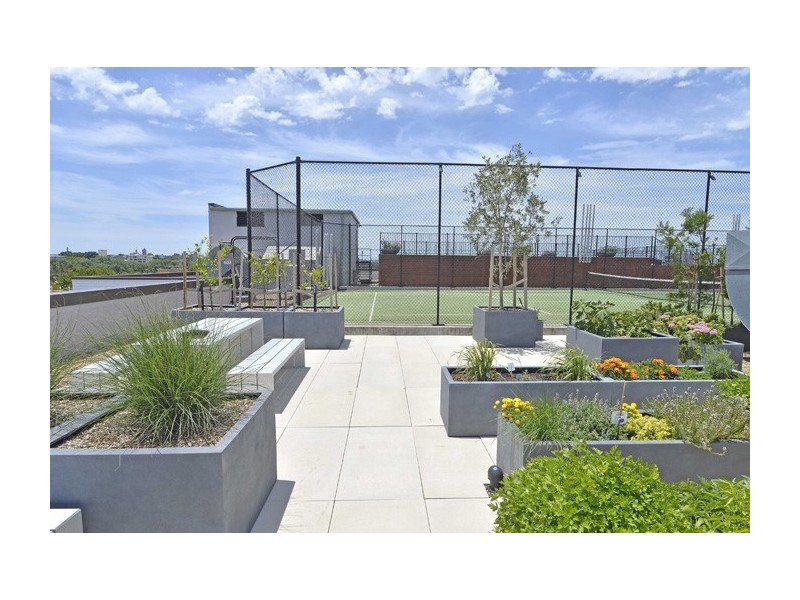 305/92 Cooper Street, Surry Hills NSW 2010