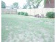 41 Pacific Drive, Blacks Beach QLD 4740