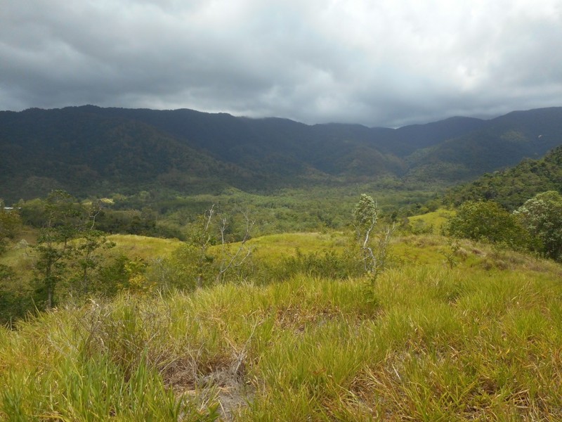 596 Gorge Road, Finch Hatton QLD 4756