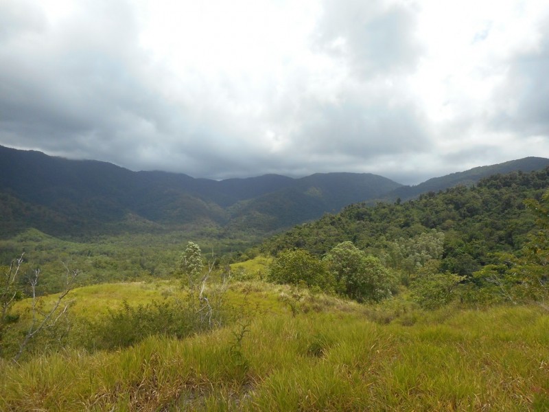 596 Gorge Road, Finch Hatton QLD 4756