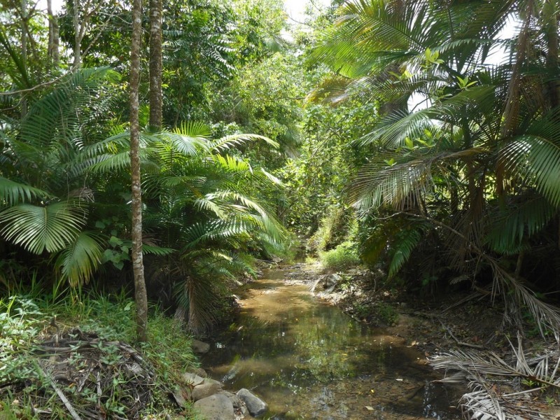596 Gorge Road, Finch Hatton QLD 4756