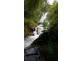 596 Gorge Road, Finch Hatton QLD 4756