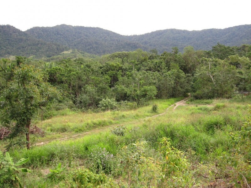 594 Gorge Road, Finch Hatton QLD 4756